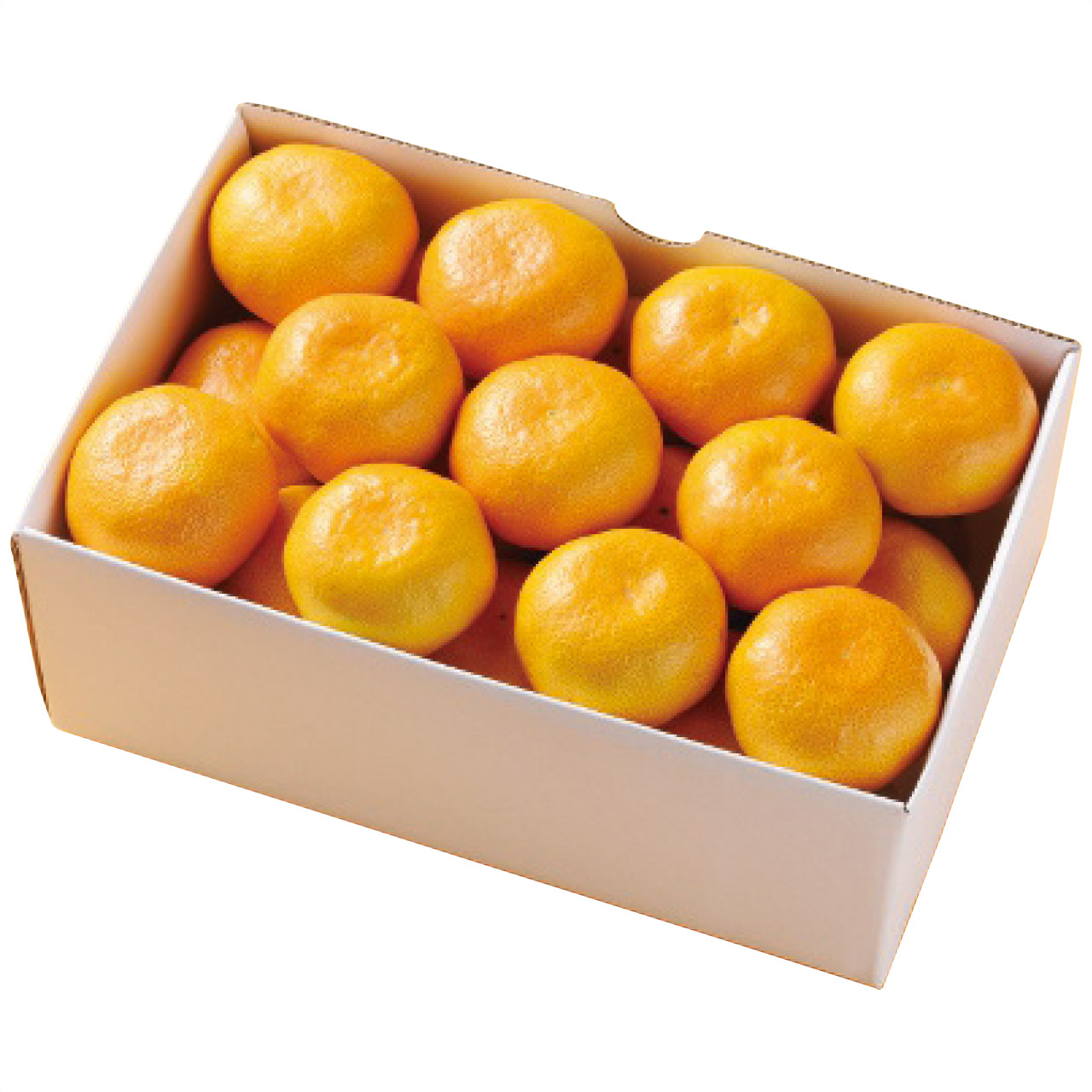 愛媛県産 みかん約2kg