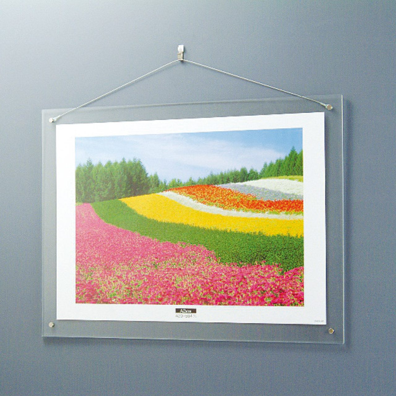 アクリル製ピクチャーフレーム 壁掛けタイプ