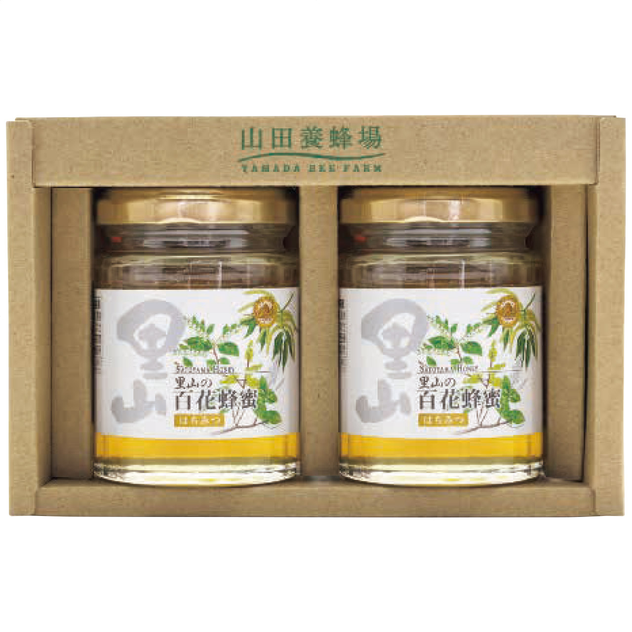 国産蜂蜜2本セット S2-H2