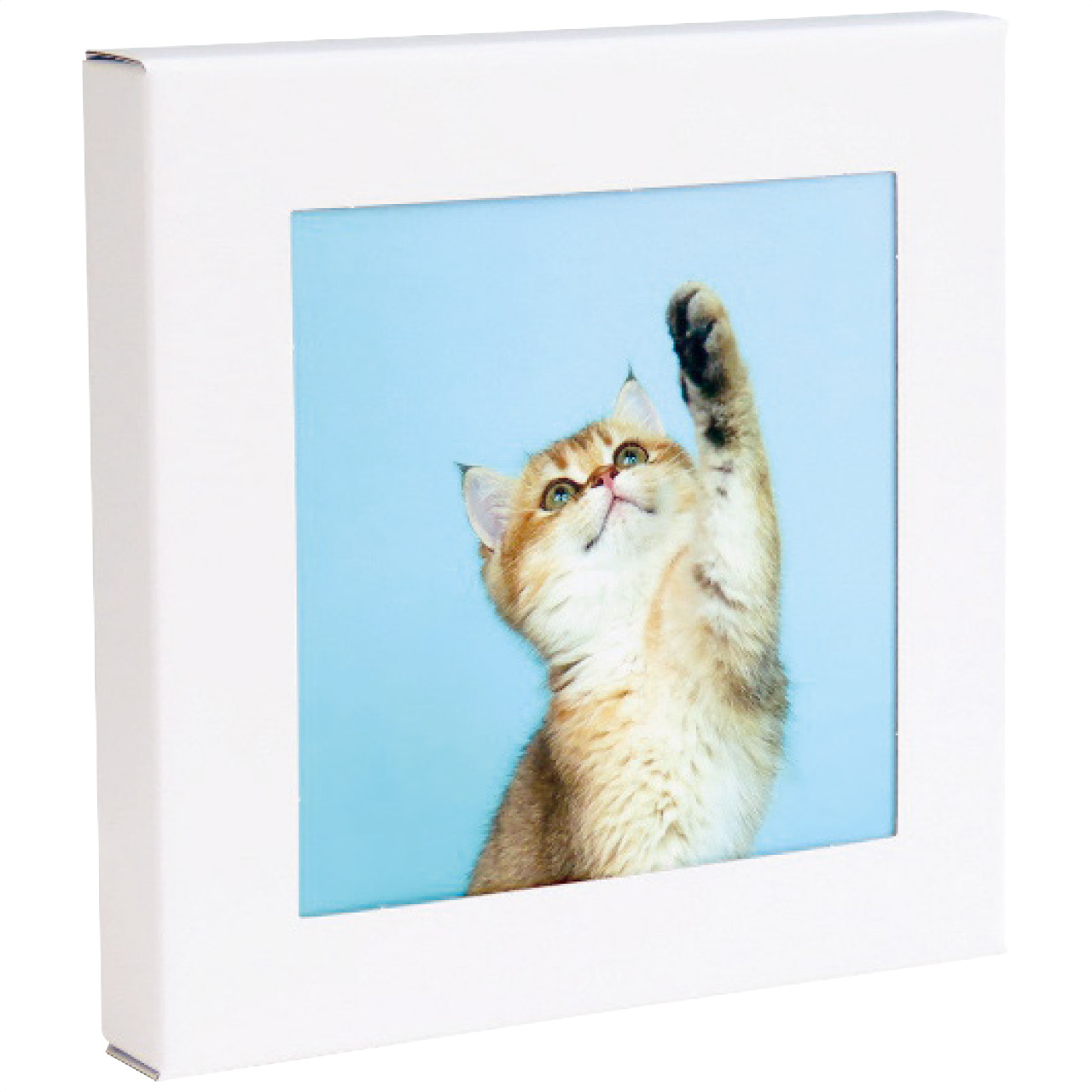 壁に飾る防災トイレ処理セット(5回分) アートトワレ