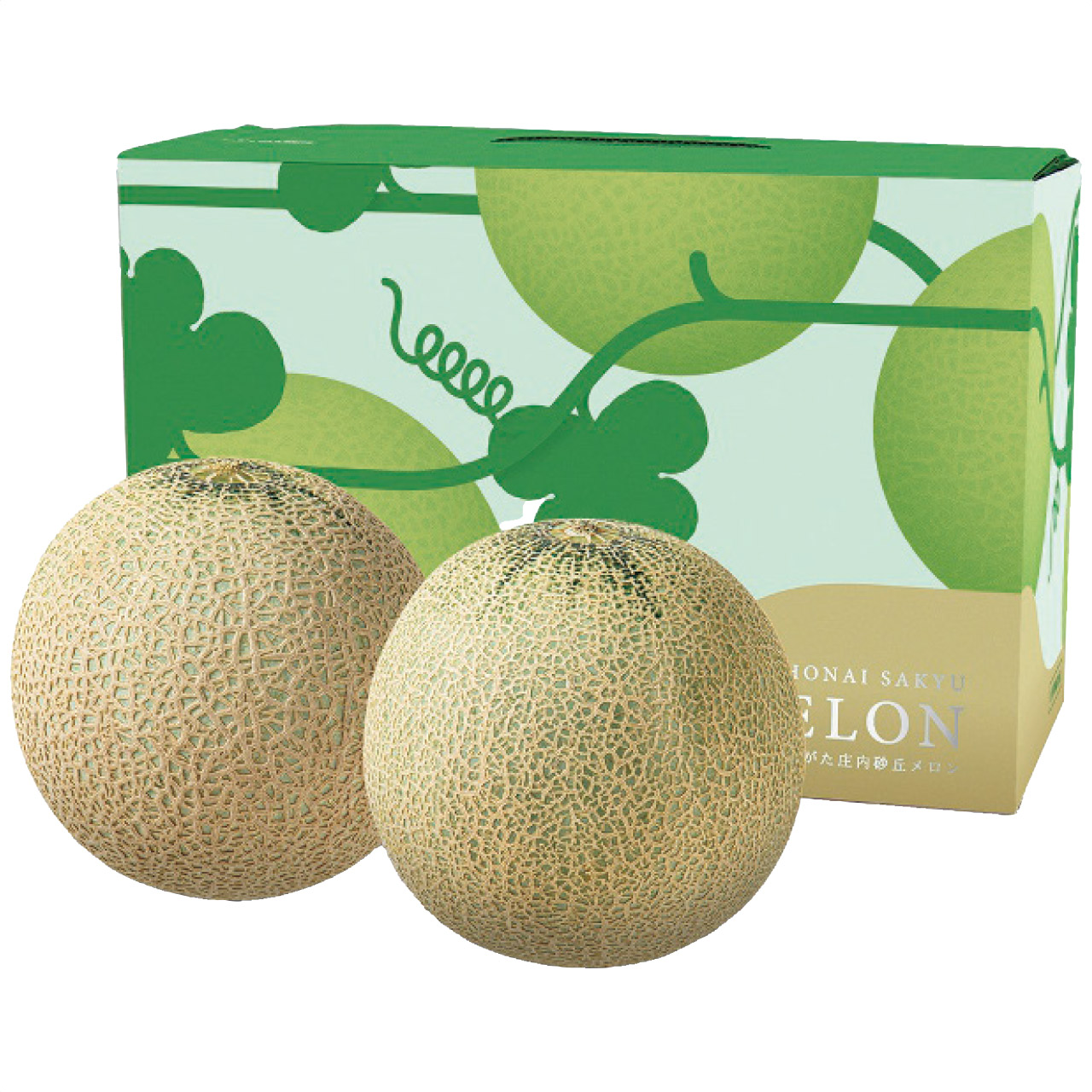 山形県産 JA鶴岡 庄内砂丘メロン2玉(赤・青)