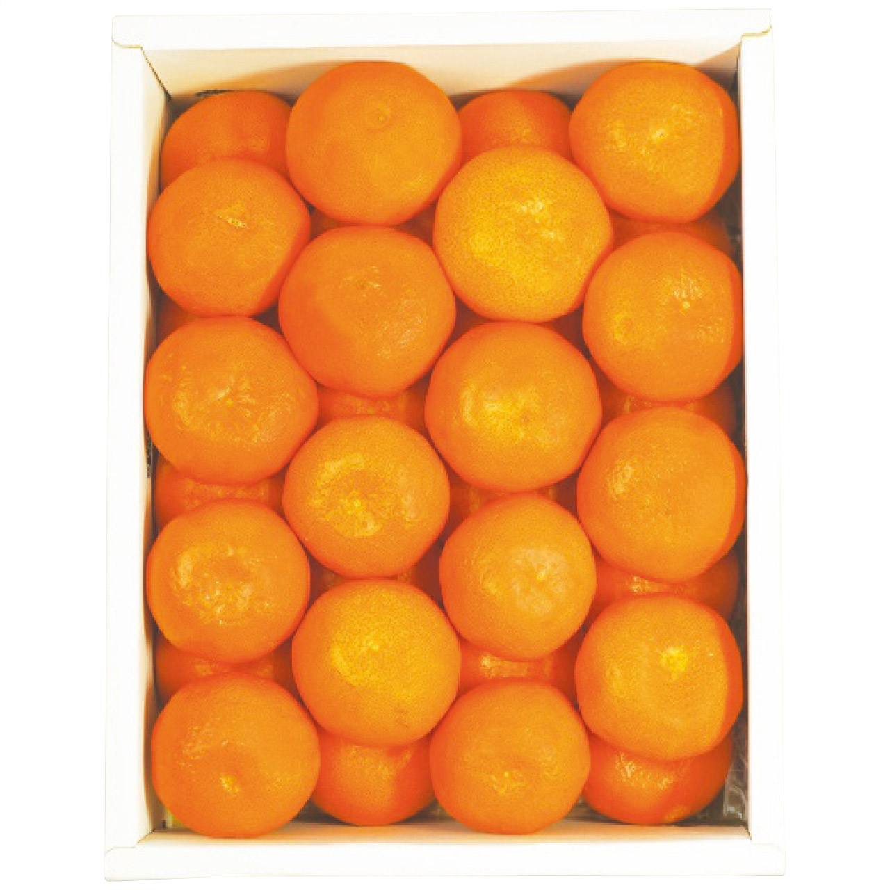 香川県産 小原紅ハウスみかん2kg