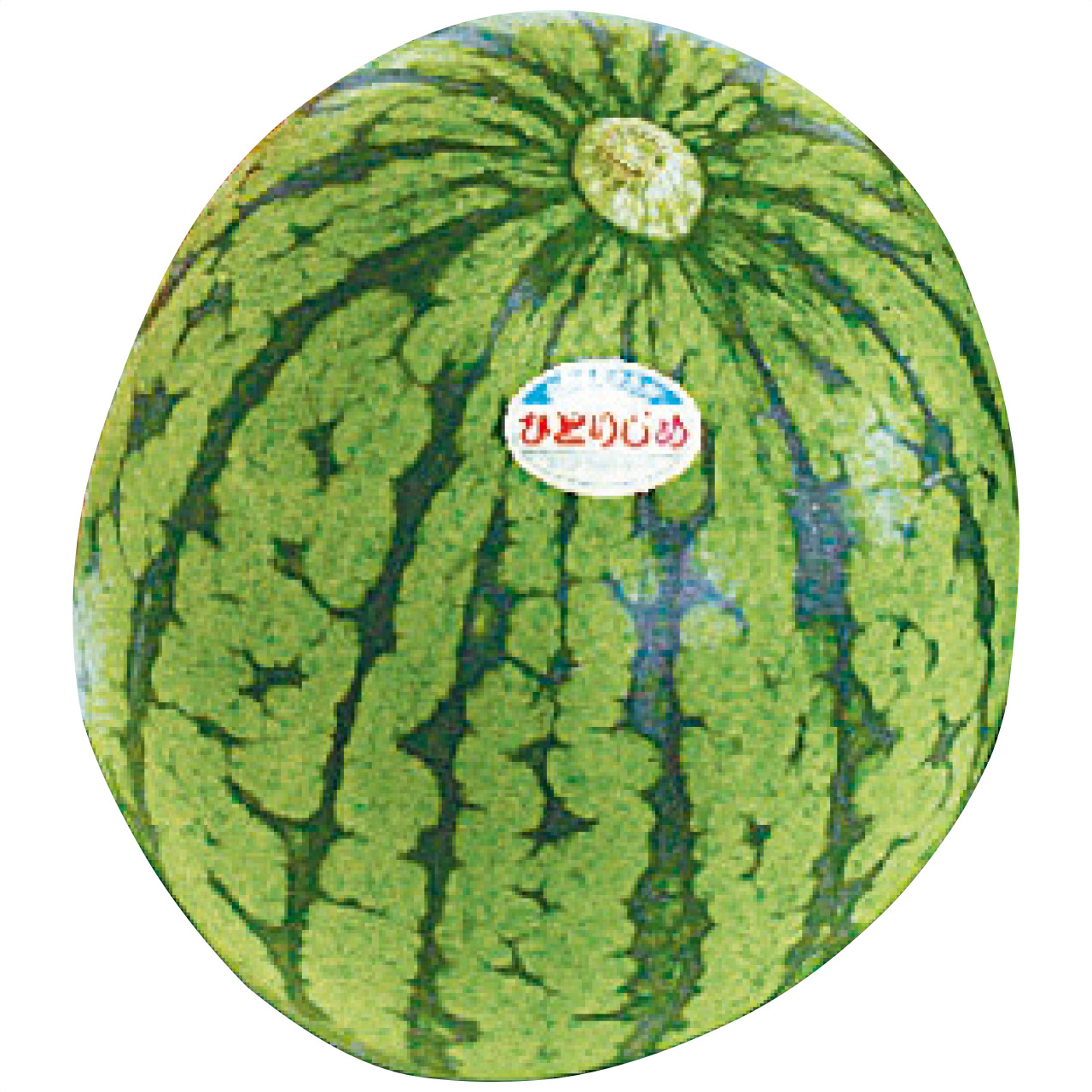 いずみ会の山形県産 尾花沢小玉すいか 1玉