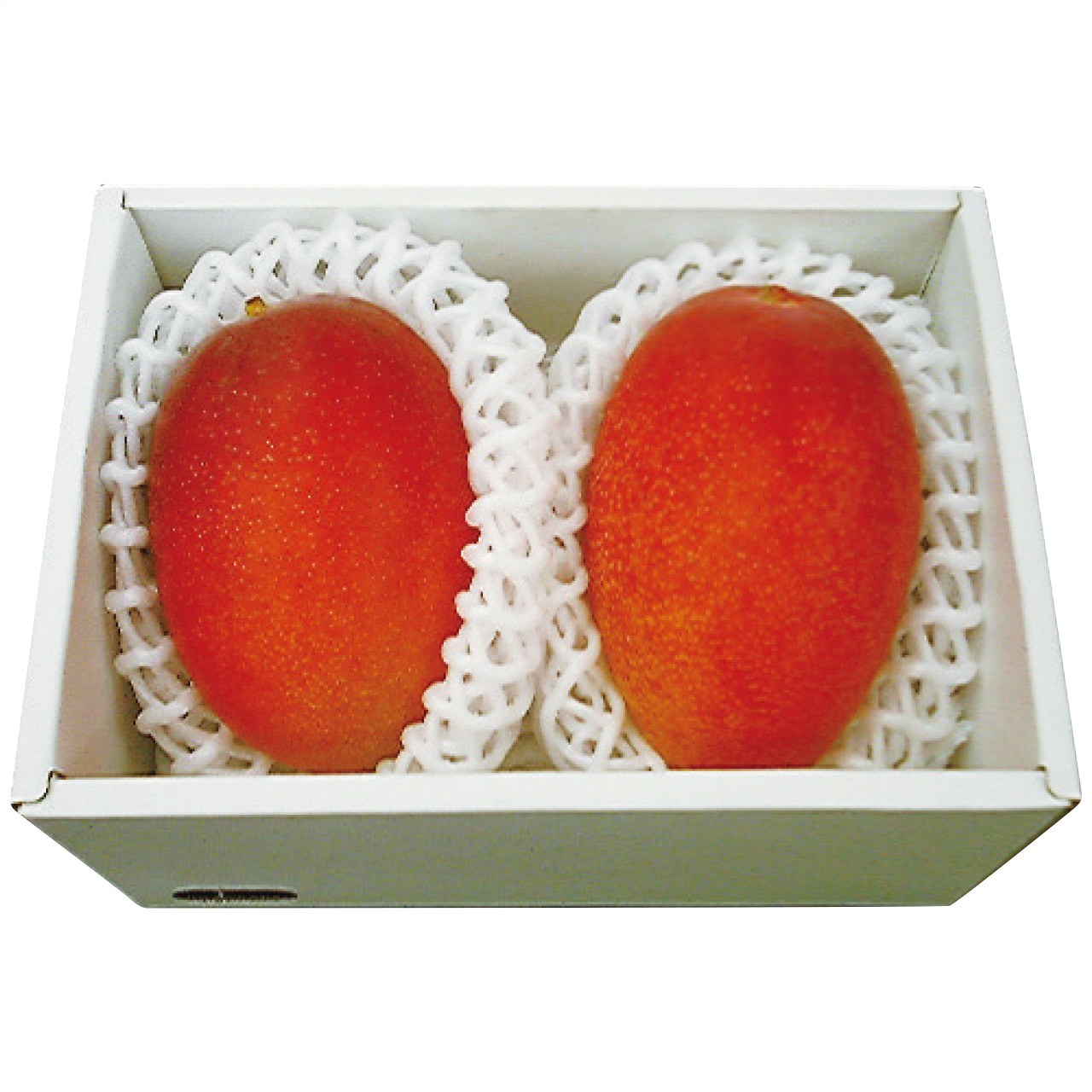 沖縄県産 マンゴー