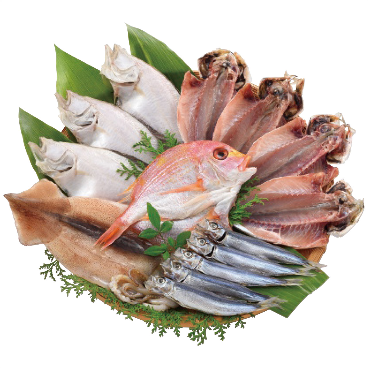 海匠國近 魚急便