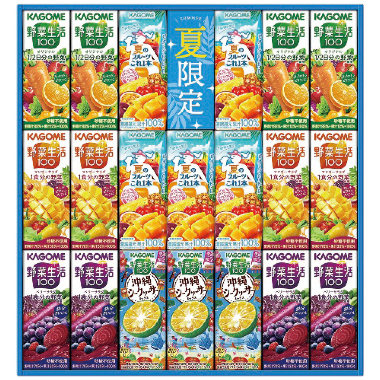 すこやかサマーバラエティギフト（紙容器） KYJ-30S