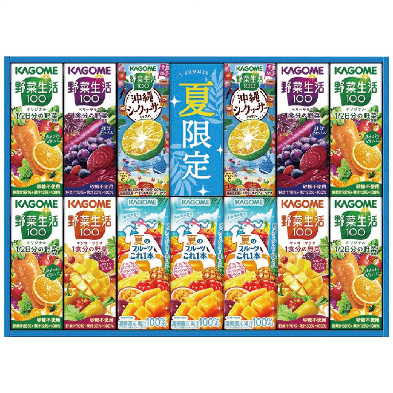 すこやかサマーバラエティギフト(紙容器) KYJ-20S