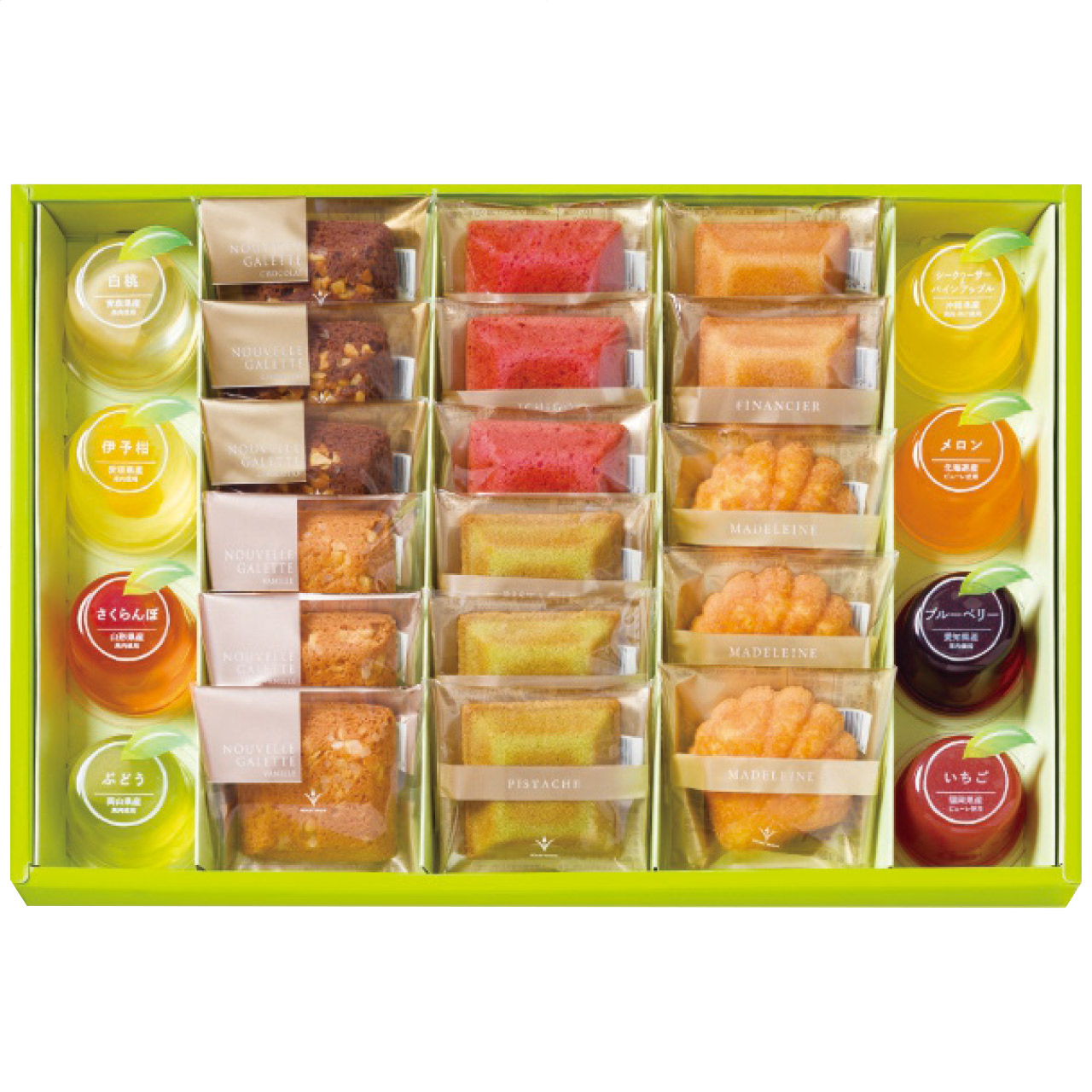 サマー・ギフト YPS-C