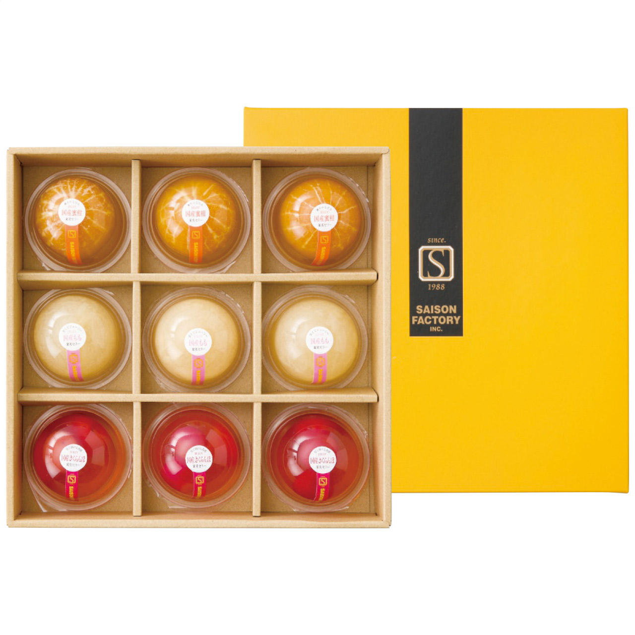 国産果実ゼリー9個詰合せ DJV-30