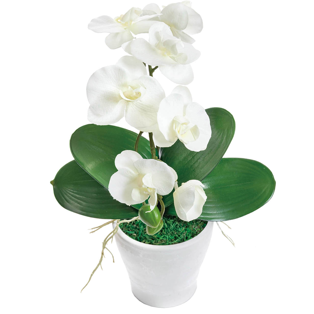 母の日 アーティフィシャルフラワー胡蝶蘭カラーズ　ホワイト