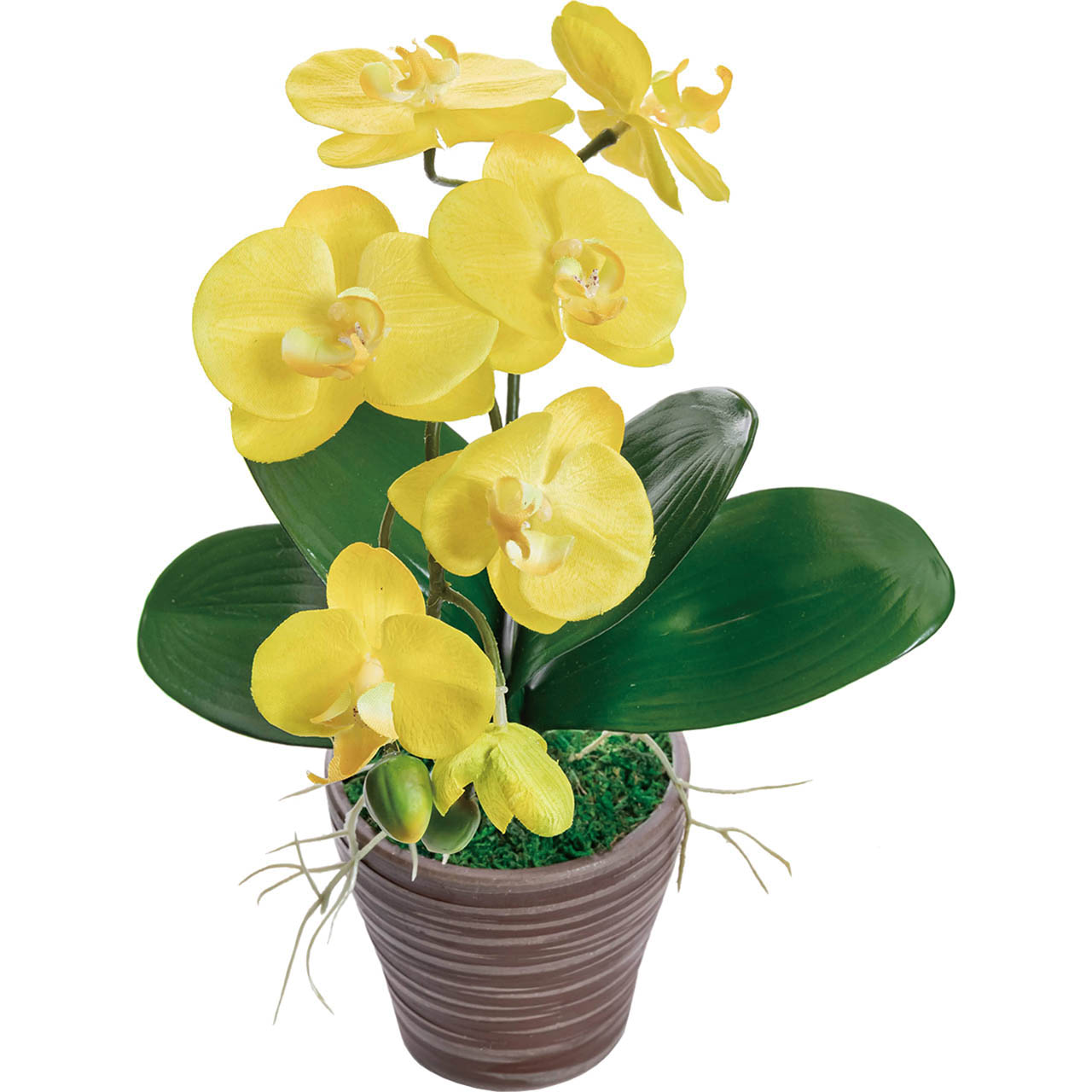 母の日 アーティフィシャルフラワー胡蝶蘭カラーズ　イエロー