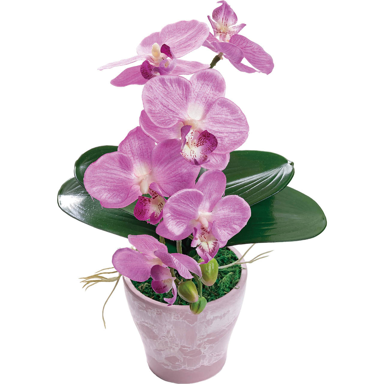 母の日 アーティフィシャルフラワー胡蝶蘭カラーズ　フレッシュピンク