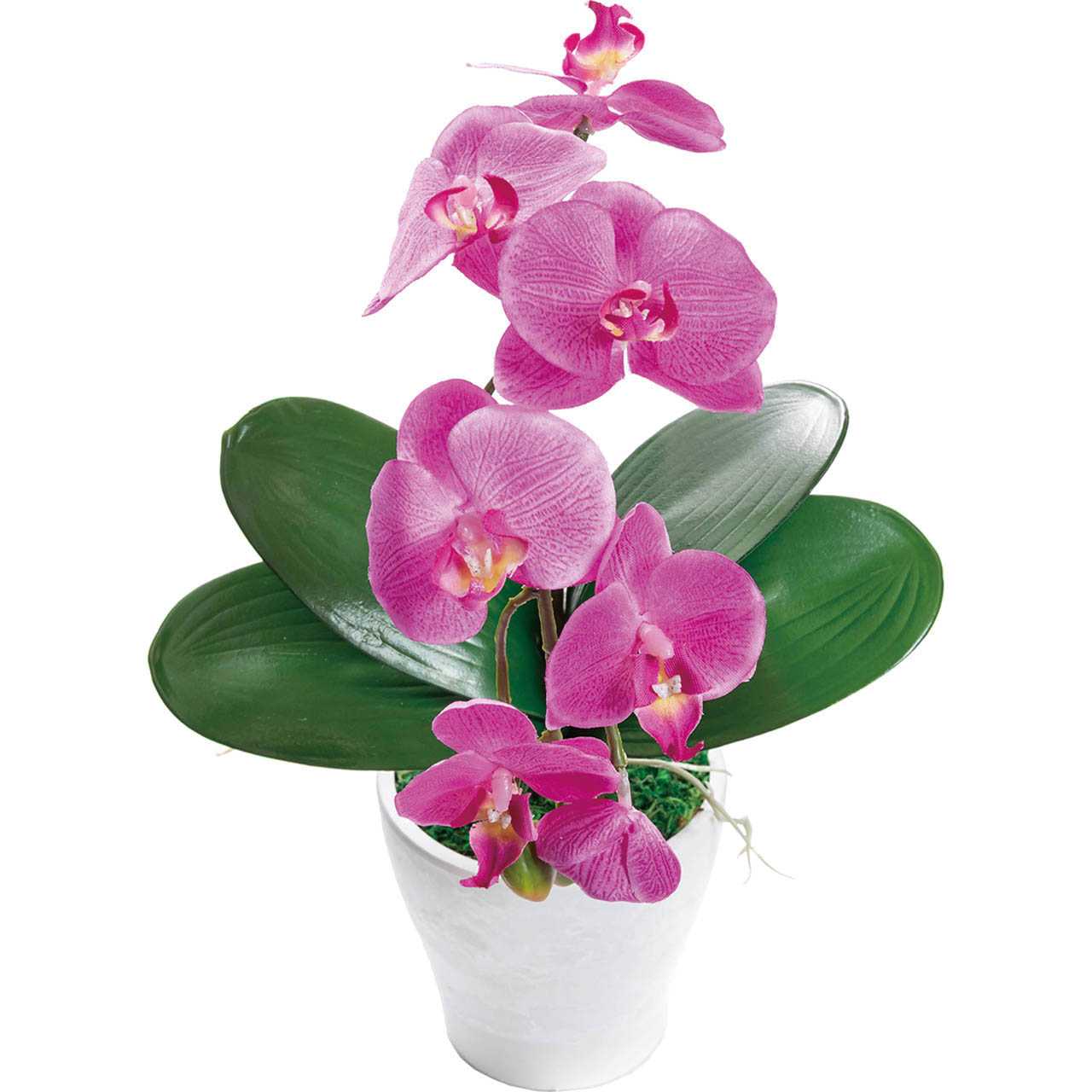 母の日 アーティフィシャルフラワー胡蝶蘭カラーズ　ダークラベンダー