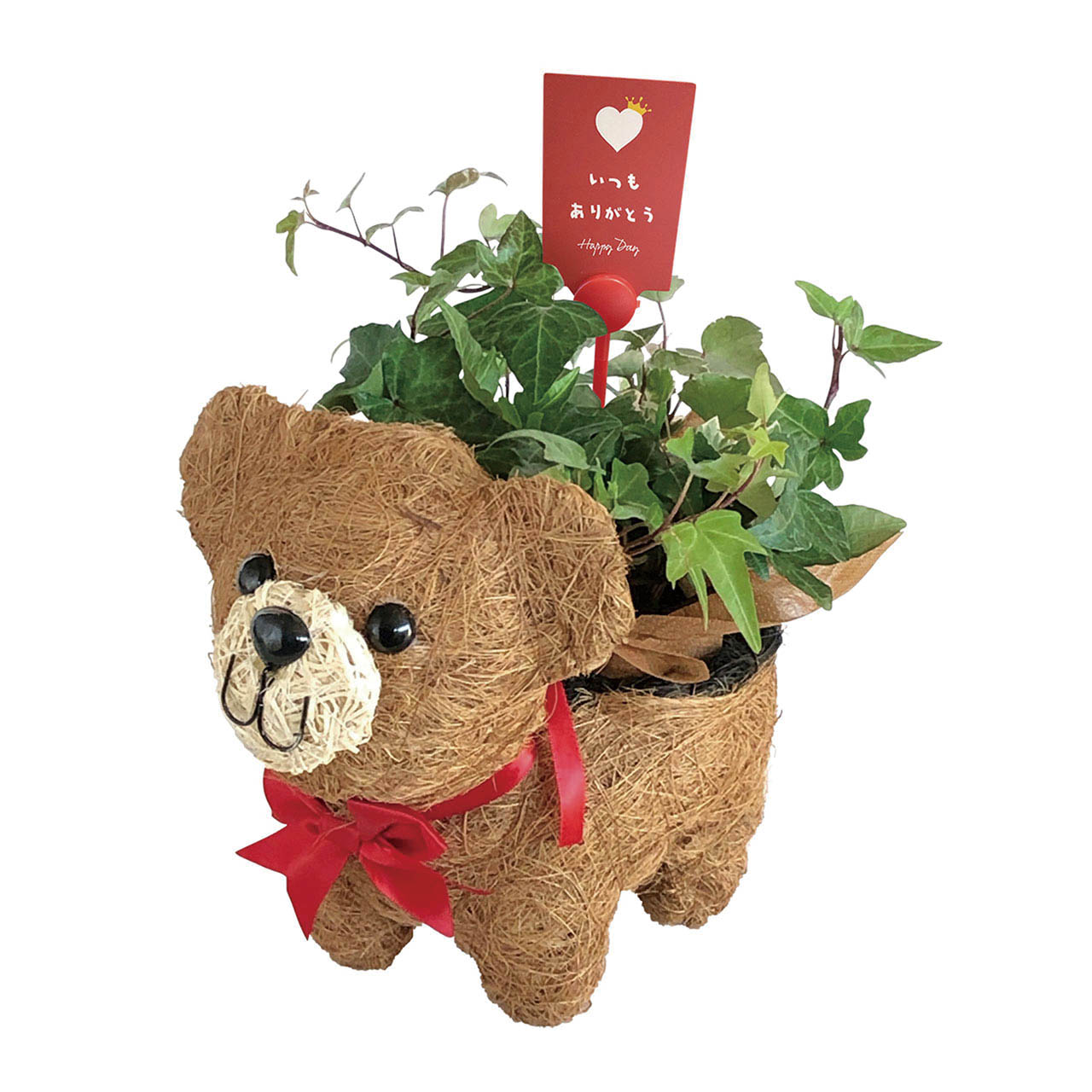 母の日 おさんぽクマさん3号