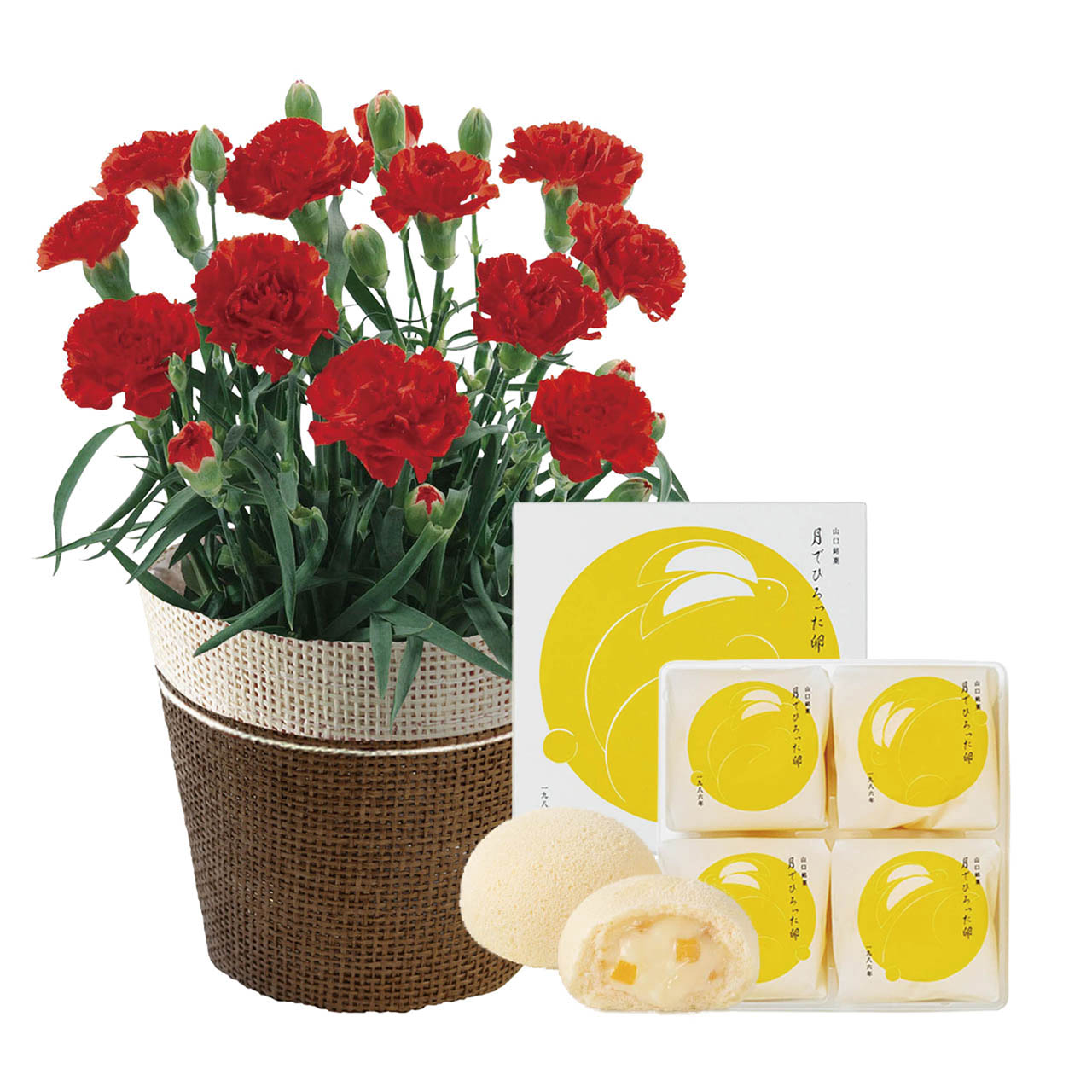 母の日 ミニカーネーションレッド4号&月でひろった卵セット