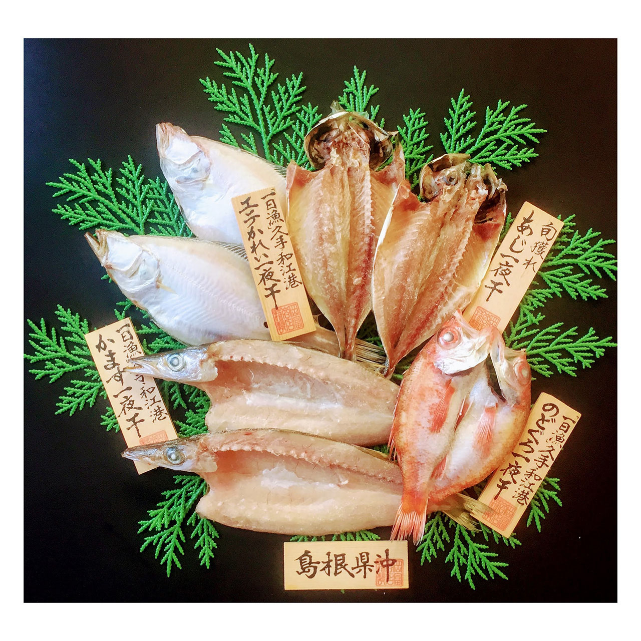島根 岡富商店 島根沖清流干物セット