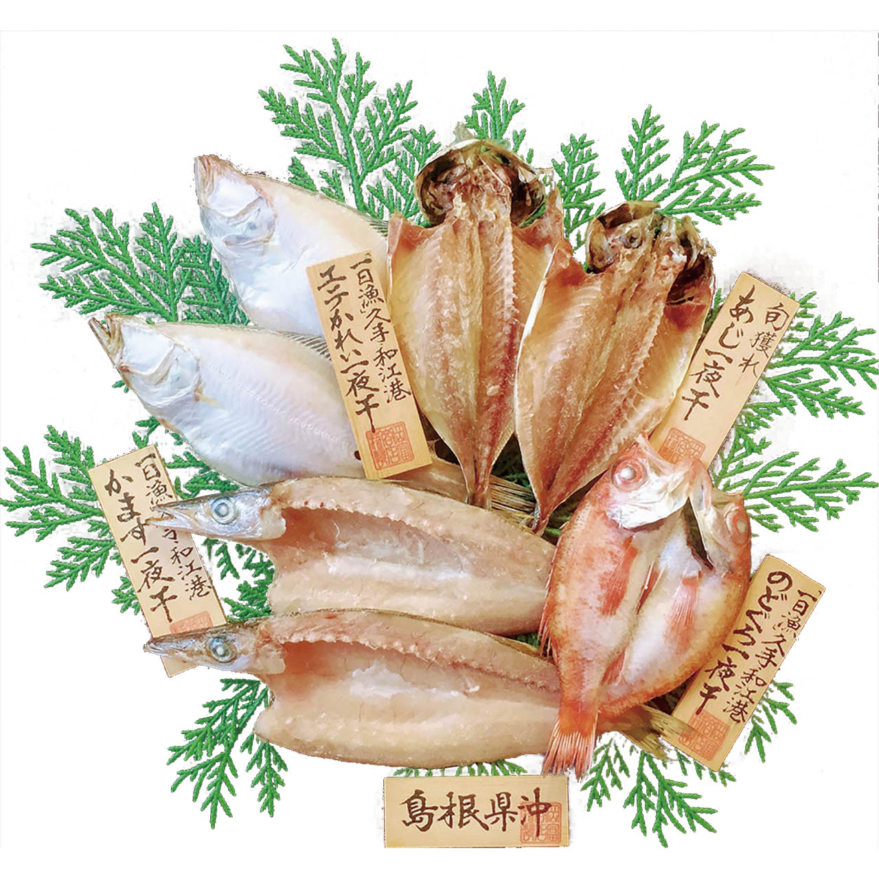 島根 岡富商店 島根沖清流干物セット