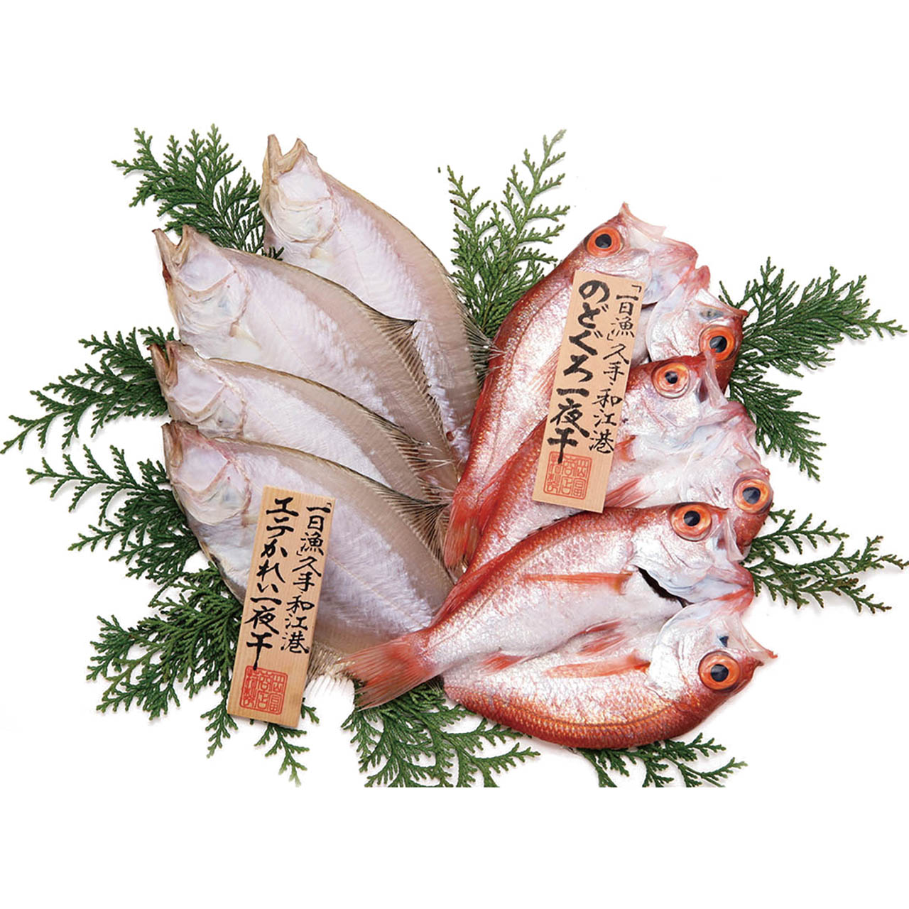 島根 岡富商店 「一日漁」 のどぐろ・かれい一夜干