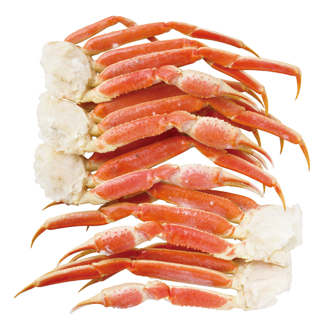 ボイルずわいがに脚 約1kg