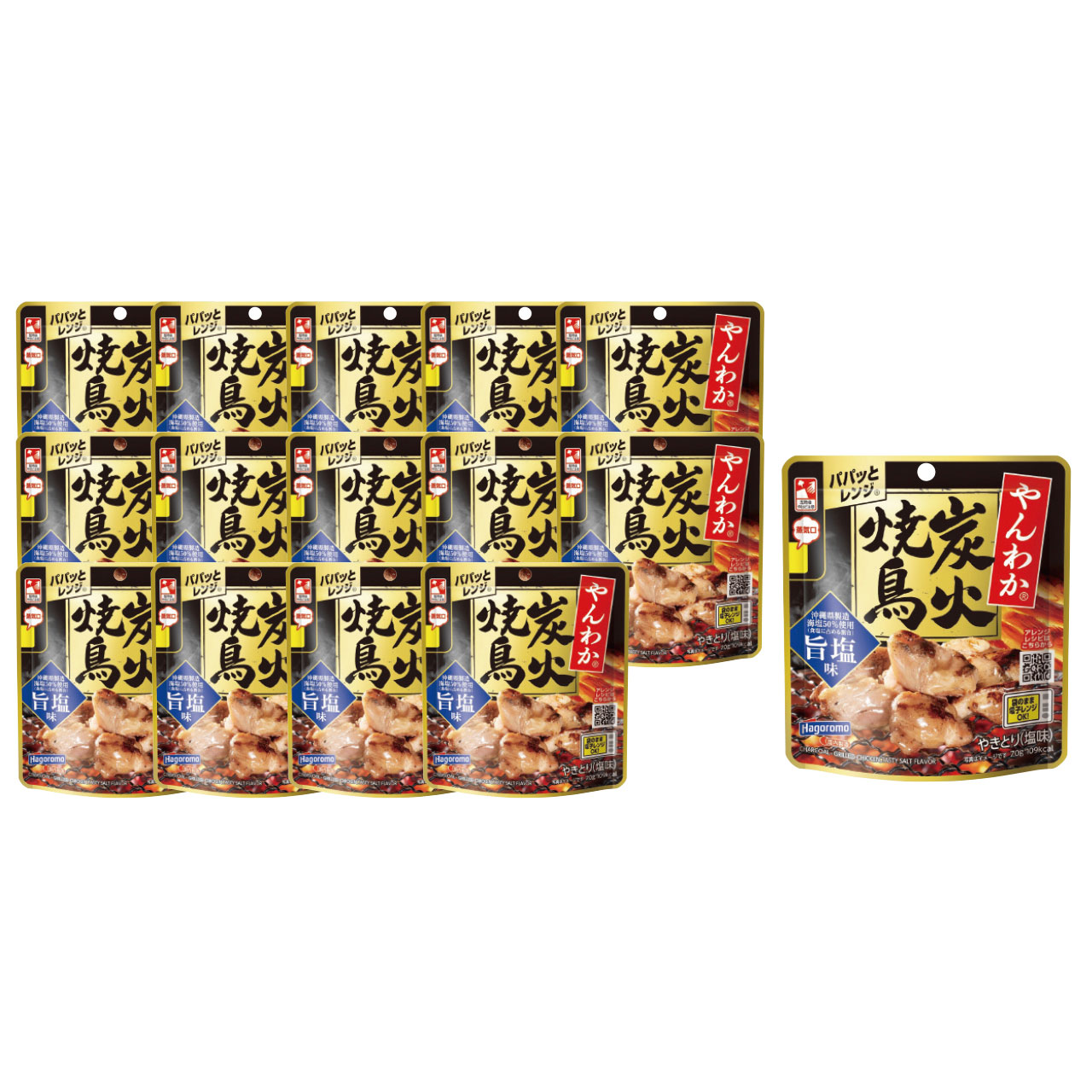 やんわか炭火焼鳥 旨塩味 15個セット