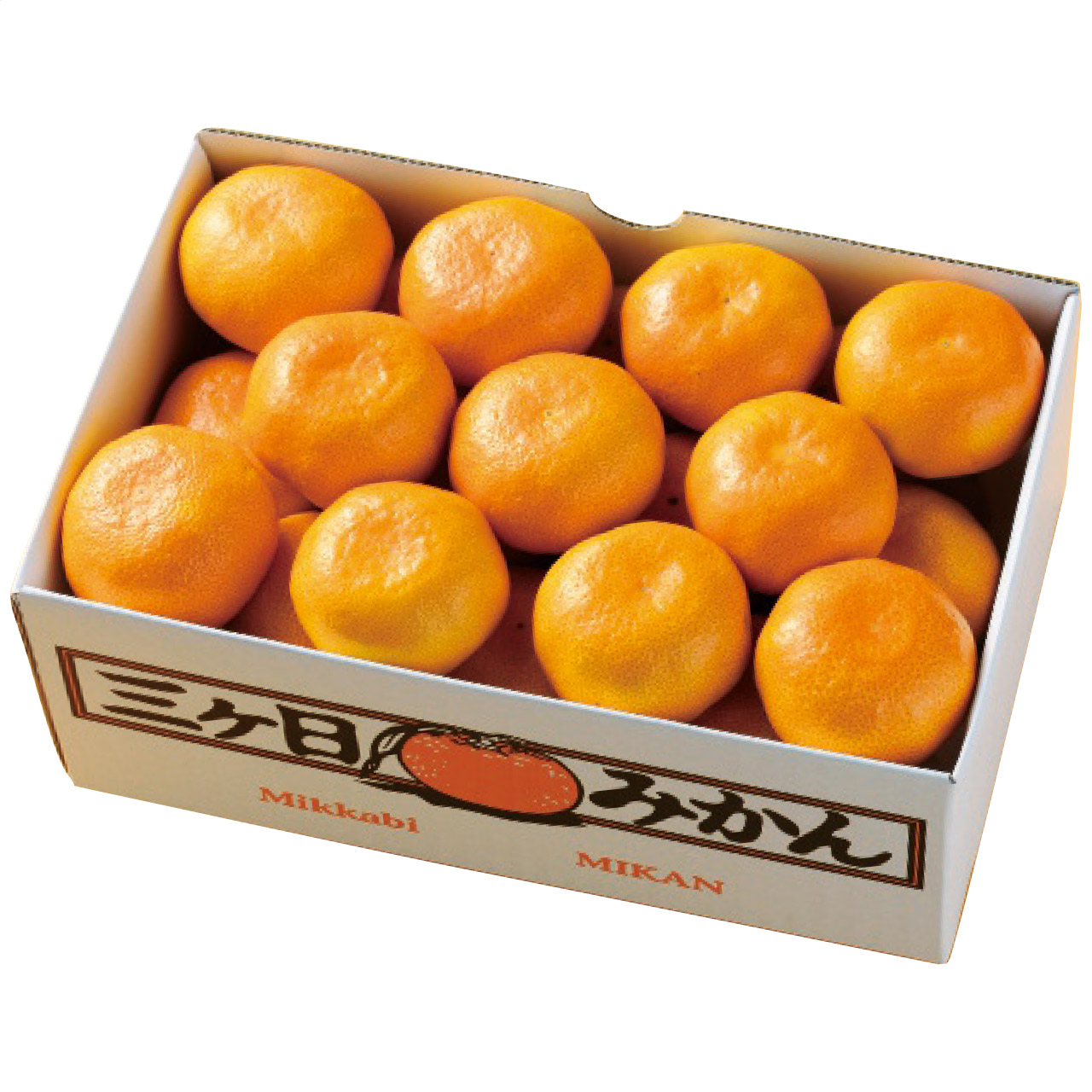 静岡県産 三ヶ日みかん約2.5kg