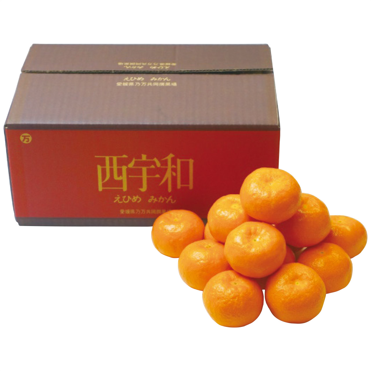 愛媛県産 みかん約3kg