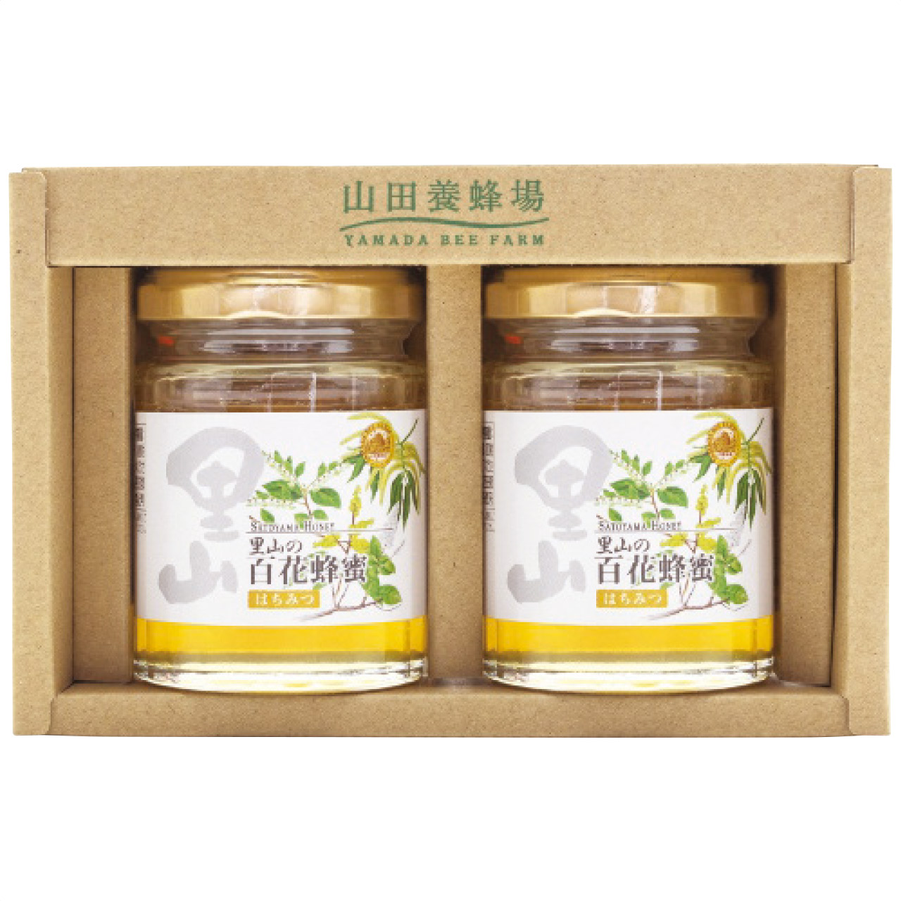 国産蜂蜜2本セット S2-H2