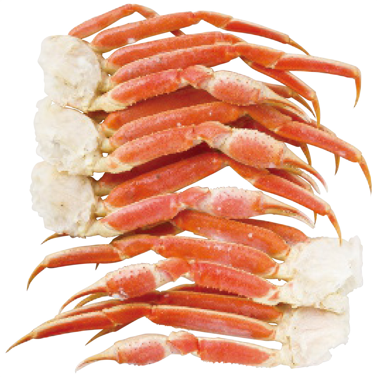ボイルずわいがに脚 約1.2kg